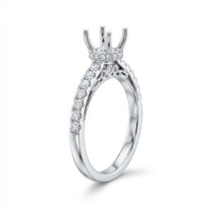 טבעת לשיבוץ